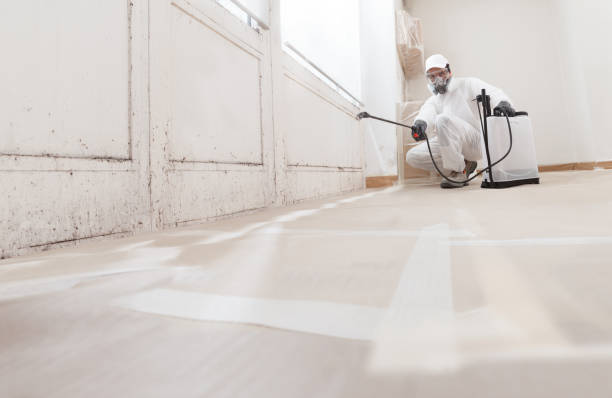 24/7 Emergency Mold Remediation experts in Toledo, IL
