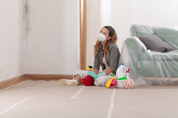 Reliable Mold Remediation contractor in Toledo, IL by 24 Hour Mold Removal